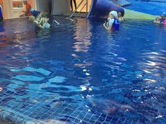 -ABC Swim亲子游泳俱乐部(河西店)