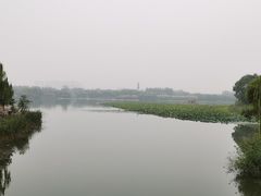 -大兴滨河森林公园