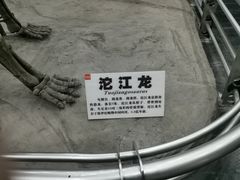 -吉林省自然博物馆
