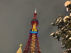 -大通公园