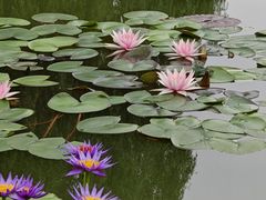 -国家植物园南园