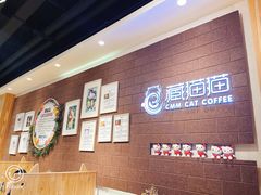 -藏猫猫咖啡主题馆(中央大道店)