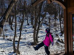 -中旅松花湖滑雪场