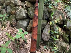 -山沟沟景区