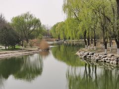 -大兴滨河森林公园