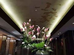 -九里云松·天香餐厅