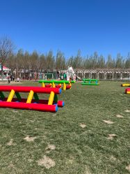 -优沃得自然教育农场·冰雪乐园·生日会·研学