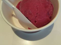 -哈根达斯(陆家浜路店)