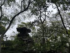 -拙政园