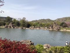 -白马涧龙池景区