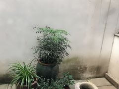 -苏州文旅花间堂·探花府酒店