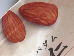 -大船律师团队