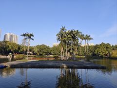 -荔湾湖公园