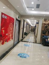 -碧莲盛·不剃发植发