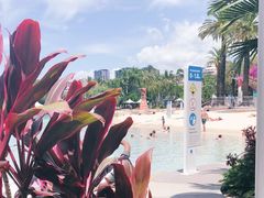 -布里斯班南岸公园