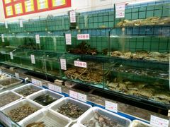 水产区-海岛渔村大酒店(云霄路店)
