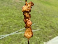 -渭河城市绿地运动公园