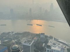 -上海大自然野生昆虫馆(东方明珠·爬宠昆虫探索中心)