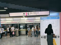 -大龙山(地铁站)