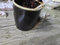 -牛肉块扯面(新华街总店)