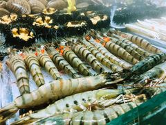 -船梆煮•蒸汽海鲜·炉火烤肉(五四广场店)