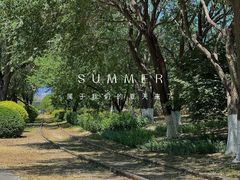 -永定河休闲森林公园