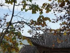 -和顺古镇