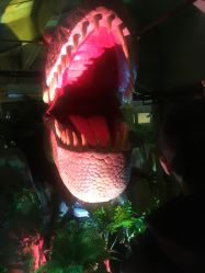 点击看大图 -恐龙探索乐园(磁器口店)