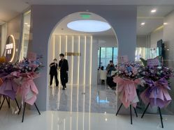 点击看大图 -COSMO PRO造型