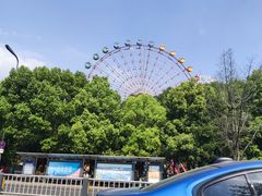 -成都南湖公园