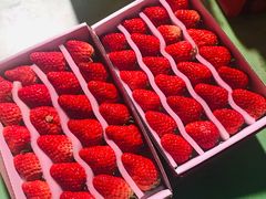 -菜园坝水果市场