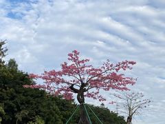 -东莞植物园