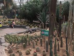 -大连森林动物园