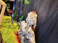 -川江号子火锅(运河城店)