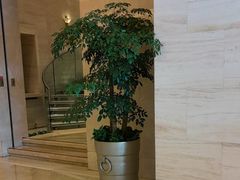 -北京歌华开元大酒店