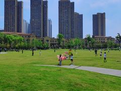 -府河摄影公园