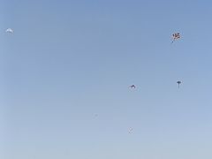 -汉长安城未央宫国家考古遗址公园