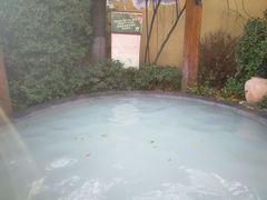 -仁爱团泊湖温泉中心