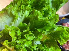 生菜-丹东特色烤肉(南光三部店)