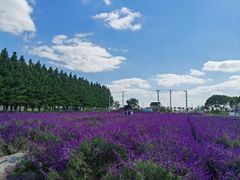 -嘉北郊野公园