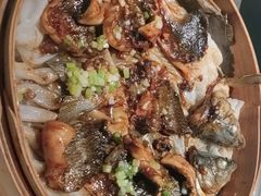 -粤凤佬