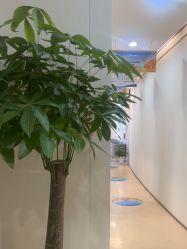 -郑荃丽格医疗美容