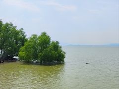-深圳湾公园(南山区)