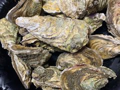 -七裕庄(凯旋南路店)