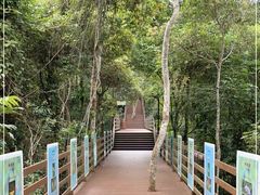 -野象谷景区