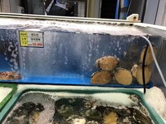 -西归浦每天偶来市场