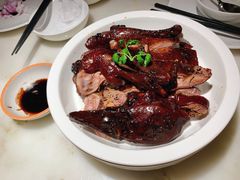-佬肥猫(国华广场店)