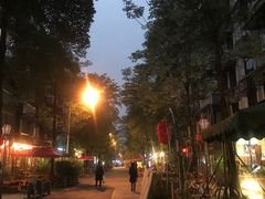 -泡桐树街