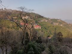 -莫干山风景区