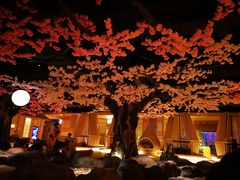 -蓝鲸湾汤泉(包河店)